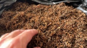 Вирджиния Голд-хранение Табака