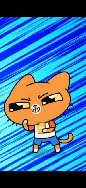 гврити захадиде