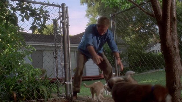 Бетховен 2 (фильм, 1993)
