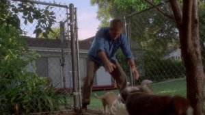 Бетховен 2 (фильм, 1993)