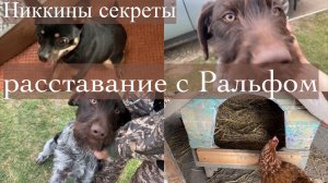 Адыгея/ Жизнь на хуторе/ Опять секреты/ Ральфа забрали/ Дела огородные/