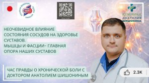 Вебинар  А.Шишонина «Суставы - главная мишень перегрузок!»  (Школа северной ходьбы Насти Полетаевой)