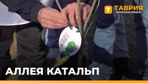 Международная акция "Сад памяти" стартовала в Херсонской области