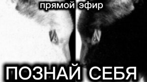 Прямой эфир с Наилей Богдановой