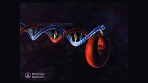 Вирусы внутри нас - непримиримое сотрудничество