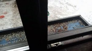 и дома кормим белок