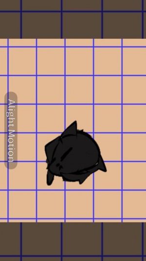 Идея Микори_Кет