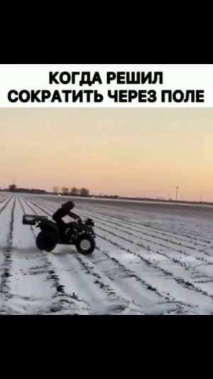 Когда навигатор предложил дорогу на 2 минуты быстрее