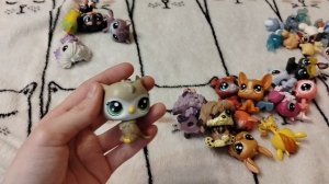 Обзор на моих LPS🔥Снимать ли мне про них?