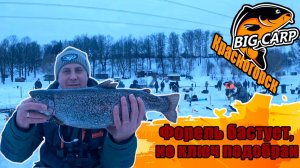 Красногорск BIG CARP