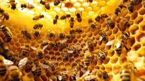 Обучающий мультфильм для детей.