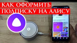 Как Оформить Подписку на Алису