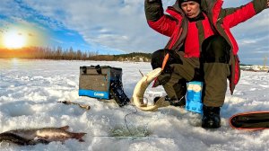РАЗДАЧА ЩУКИ НА ВЕЧЕРКЕ В ГОРОДЕ! ОДНА ЗА ОДНОЙ!!!