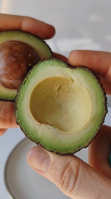 Авокадо Хаас авокадо фруктымира фрукты фрукторианство плоды фрукт сыроедение веганство зож