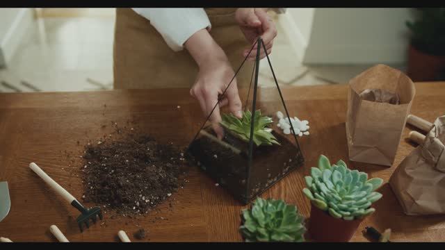 Vanessa Paradis, Thomas Dutronc & Jacques Dutronc - Les Cactus
