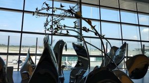 Транзит в аэропорту Ченду!