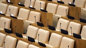 Представители БРИКС будут наблюдать за выборами в ГД