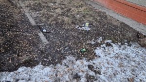 Мусор, как культура Челябинской власти.18.03.2026