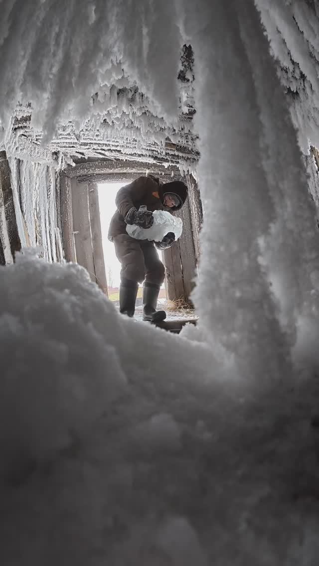 Запасы воды🧊 и мяса🥩