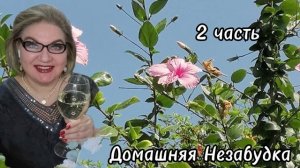 2 часть. А что с просмотрами❓️Грязная куча переобувается в воздухе❗️