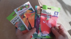 Что сею 15 марта, герань из семян.