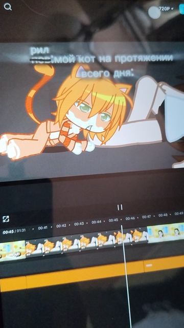 мой кот на протяжении всего дня: