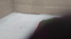 5ночей с мемами3