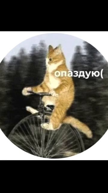 Когда-нибудь это произойдет....