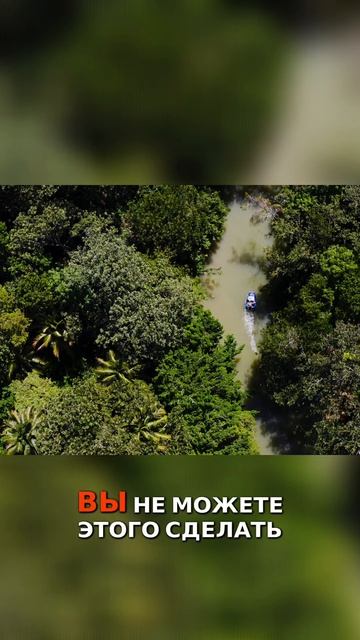 Мы идем вперед не смотря ни на что!