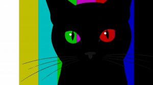 Чёрный кот)