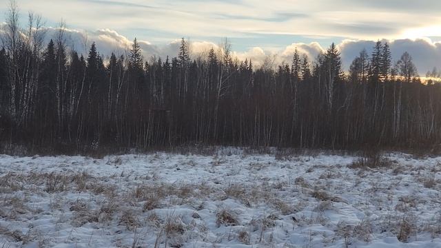 Вездеход Ангара Воркер