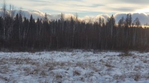 Вездеход Ангара Воркер