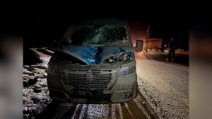 Последняя прогулка