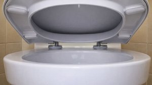 Замена лифта крышки унитаза – как починить своими руками 🌞 блогер Альбатрос ✅ Домашний мастер