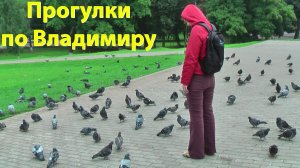 Love Story на колесах: Едем во Владимир в медовый месяц. Золотое Кольцо 2009