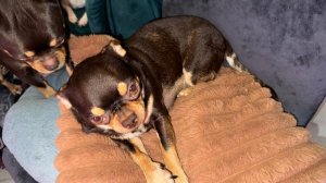 Доброго всем вечера и самой спокойной ночи!