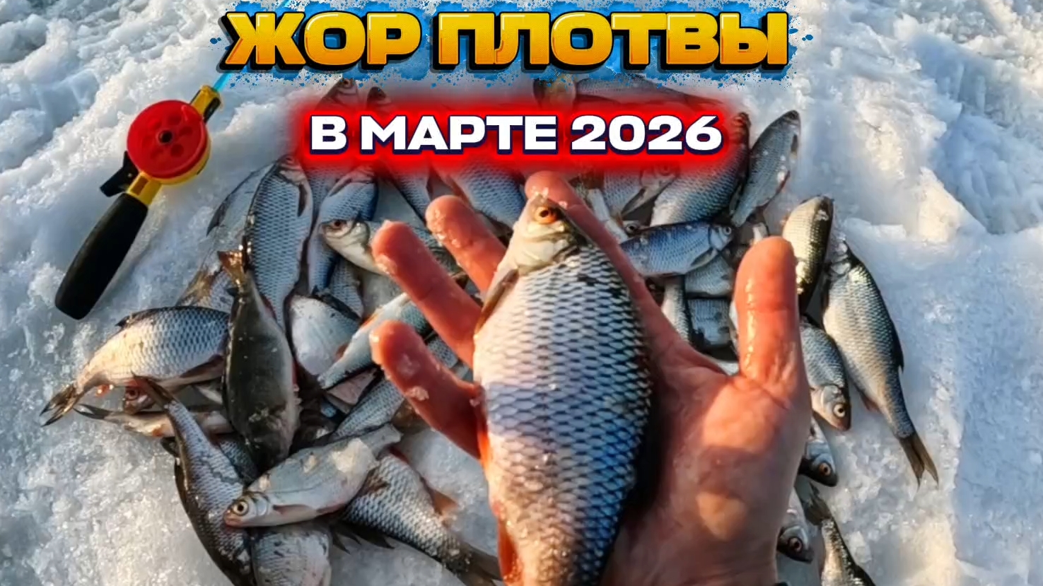 ПОПАЛИ НА ДИКИЙ ЖОР ПЛОТВЫ!РЫБАЛКА на ПЛОТВУ В МАРТЕ 2026!!!