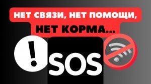 Голодная смерть в тишине. Нас лишили связи, а собак - еды!