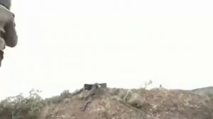 01680-Помоги дедам нашим.