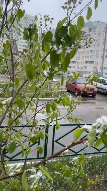 Название придумайте сами смотреть онлайн