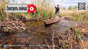 Островное уединение. Ночь наедине с природой, рекой и удочкой