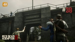 ЧАСЫ ПОСЕЩЕНИЯ ► Red Dead Redemption 2 #38