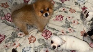 Доброго утречка и чудесного начала дня!