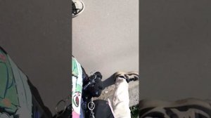 прода😃😃😃(◕‿◕✿)(◡‿◡✿)