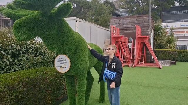 Интересные места Сочи. В поисках магнолии