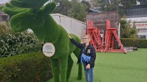 Интересные места Сочи. В поисках магнолии