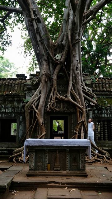 Заброшенный храм: природа восстанавливает старину #природа #история #путешествия