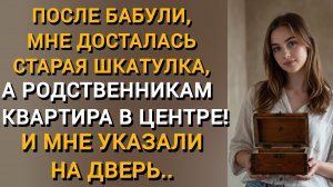 ПОСЛЕ СМЕРТИ БАБУШКИ, МНЕ ДОСТАЛАСЬ ШКАТУЛКА, А РОДСТВЕННИКАМ КВАРТИРА. И МЕНЯ ВЫСТАВИЛИ ЗА ДВЕРЬ..