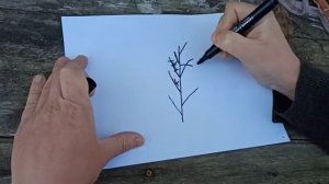 Как обрезать черешню весной 🌳 Правильная обрезка черешни для большого урожая