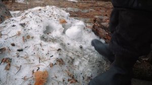 НОЧУЮ В МАЛЕНЬКОЙ ИЗБУШКЕ НА ОПУШКЕ ЛЕСА